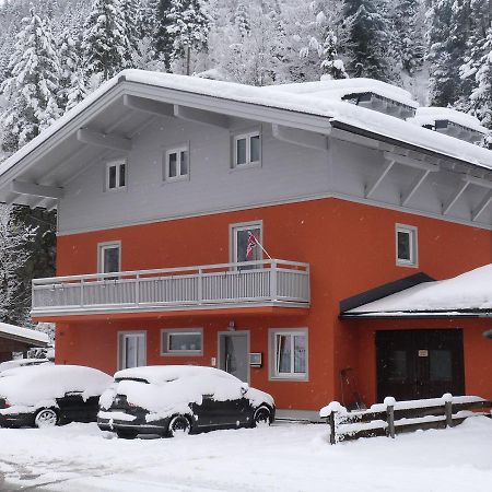 Alpen Appartements Viehhofen - Incl Sommercard Zell Am See Фіггофен Екстер'єр фото