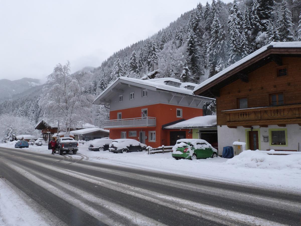 Alpen Appartements Viehhofen - Incl Sommercard Zell Am See Фіггофен Екстер'єр фото