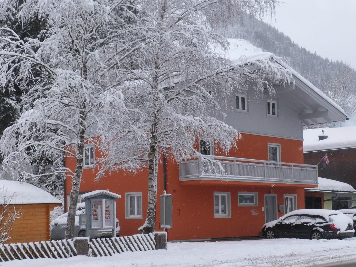 Alpen Appartements Viehhofen - Incl Sommercard Zell Am See Фіггофен Екстер'єр фото